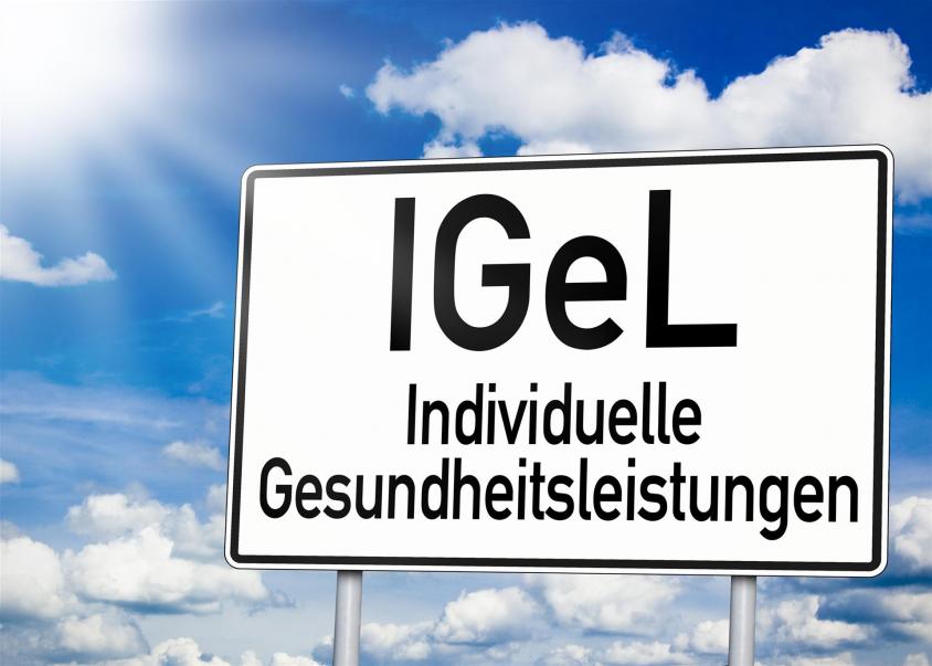 Igel Leistungen
